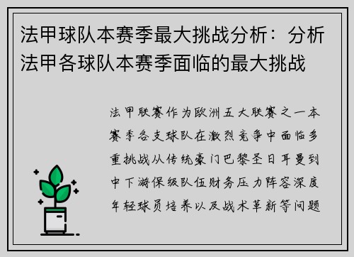 法甲球队本赛季最大挑战分析：分析法甲各球队本赛季面临的最大挑战